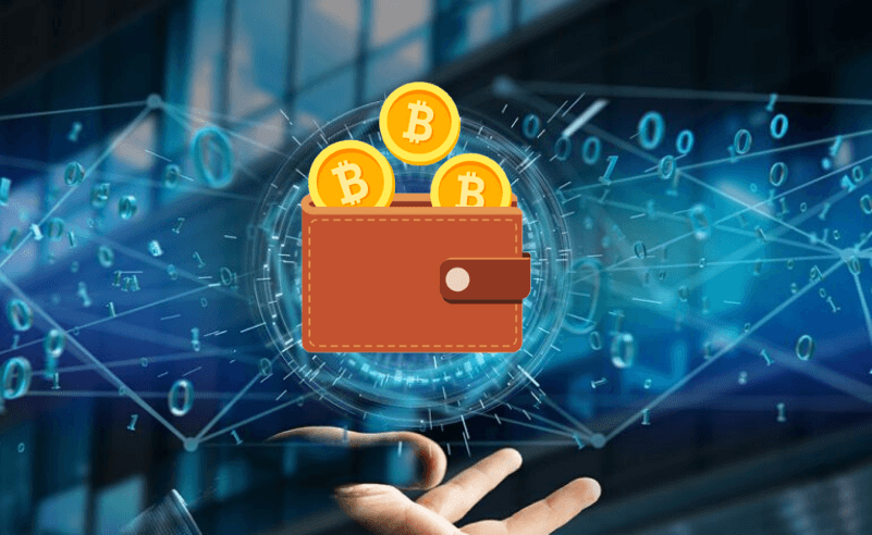 cryptocurrency best hardware wallets for bitcoin altcoins