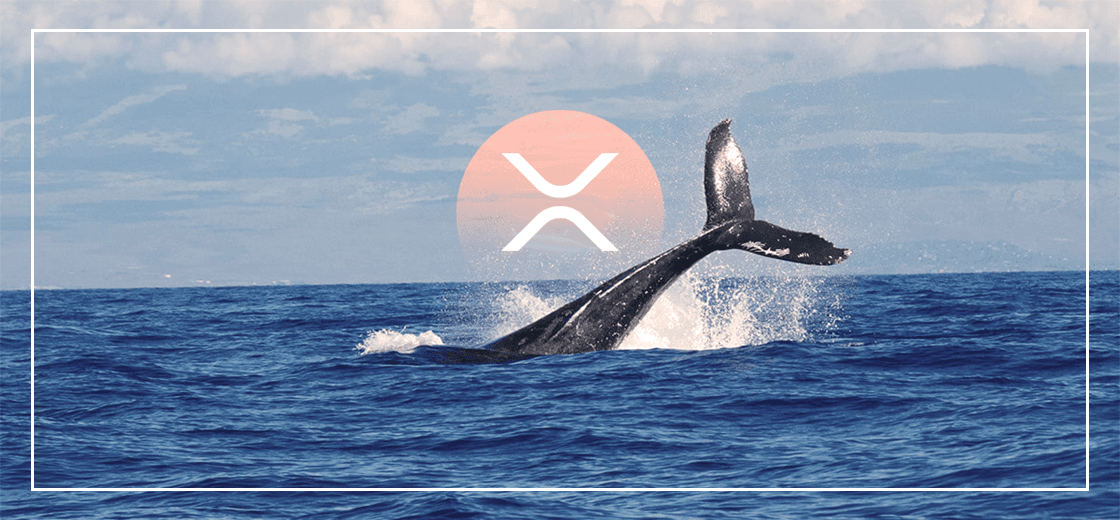 Whales Accumulate 140 Million XRP as Analysts Predict Major Breakout