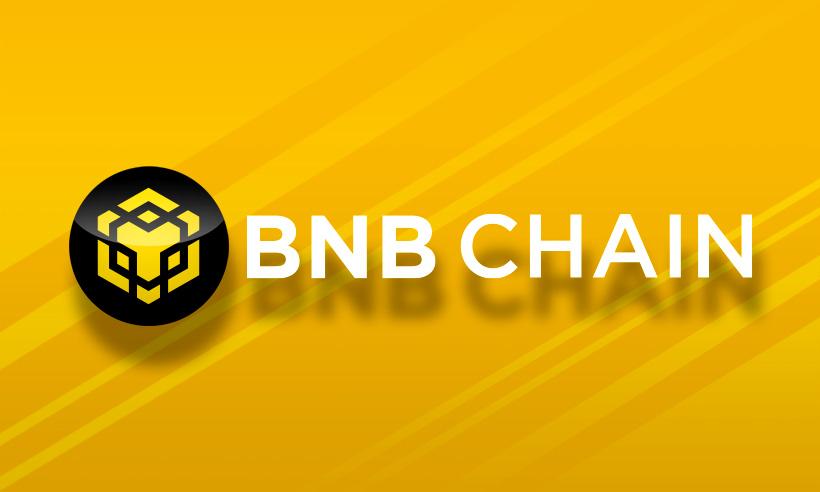 BNB Chain Revenue Dips