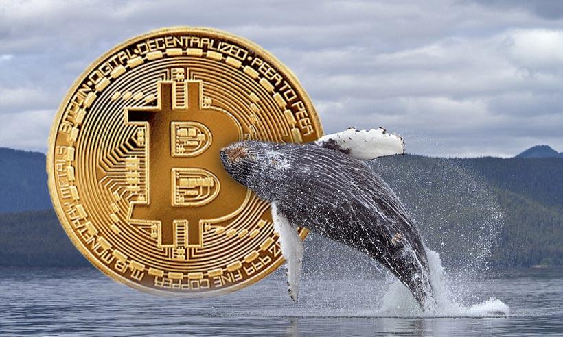 Mysterious Bitcoin Whale: $450M Speculation