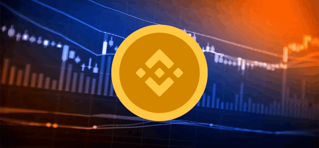Binance Coin (BNB) Resurfaces with a Resilient Rally